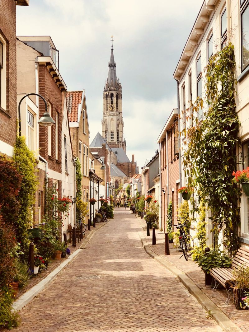 Brick street in Delft lined with houses and plants, leading to the tower of the Nieuwe Kerk